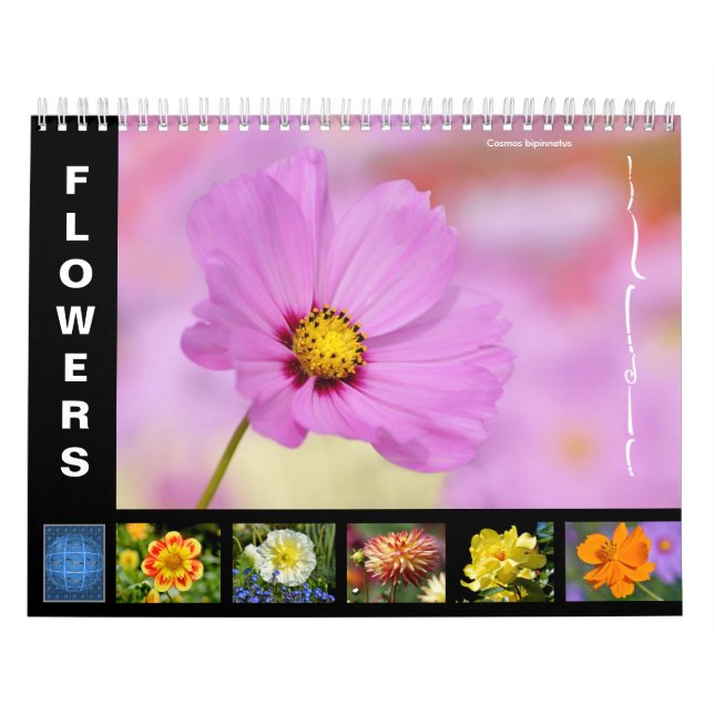 Verschiedene Blume 12 Monate Kalender (Titelbild)