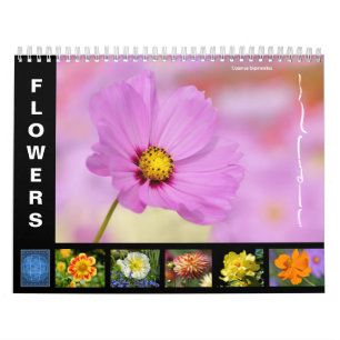 Verschiedene Blume 12 Monate Kalender