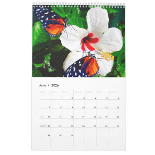 Verschiedene Fotos von Schmetterlingen mit Blume Kalender