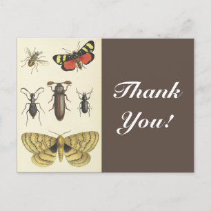 Verschiedene Insekten + "Danke!", Vintag aussehen Postkarte