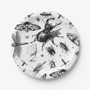Verschiedene Insekten Pappteller