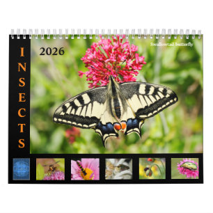 Verschiedene Insekten und Blume 12 Monate Kalender