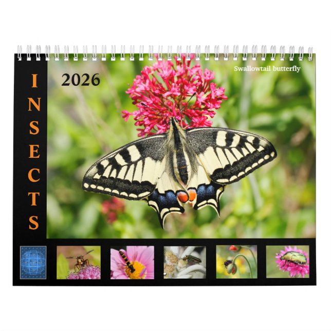 Verschiedene Insekten und Blume 12 Monate Kalender (Titelbild)