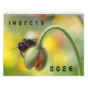 Verschiedene Insektenkalender Kalender