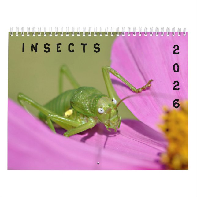 Verschiedene Insektenkalender Kalender (Titelbild)