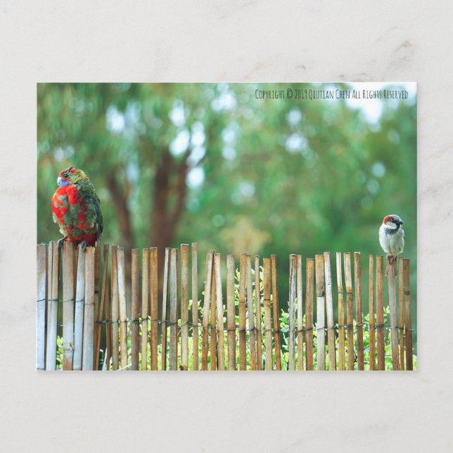 Verschiedene Minds Postkarte (Vorderseite)