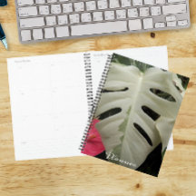 Verschiedene Monstera Leaf Floral