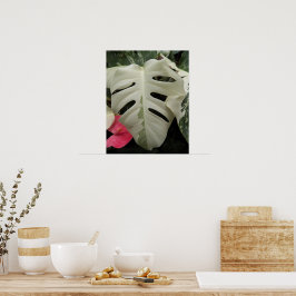 Verschiedene Monstera Leaf Floral Poster