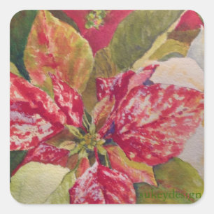 Verschiedene Poinsettia-Aufkleber Quadratischer Aufkleber