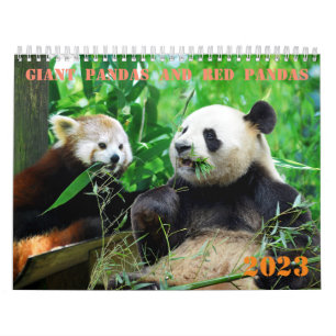 Verschiedene riesige Pandas und rote Pandas Kalend Kalender