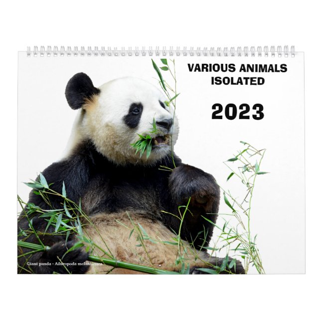 Verschiedene Tiere abgeschieden 2023 Kalender (Titelbild)