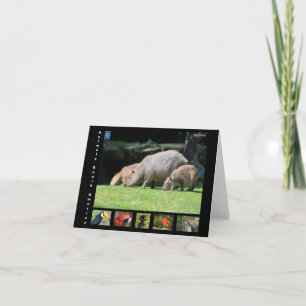 Verschiedene Tiere aus Südamerika Dankeskarte