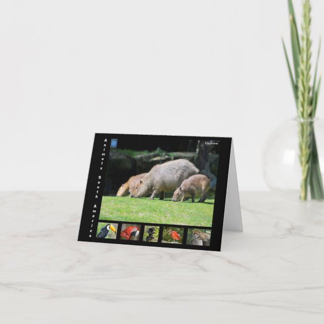 Verschiedene Tiere aus Südamerika Dankeskarte (Vorderseite)