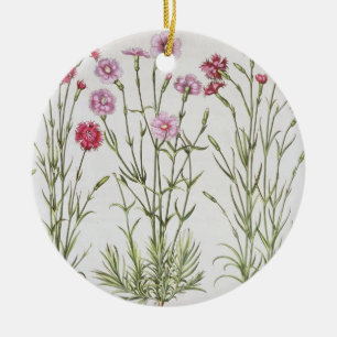 Verschiedene Vielzahl von Dianthus, vom 'Hortus Ey Keramik Ornament