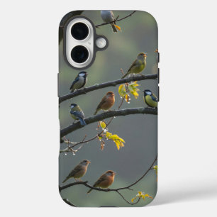 Verschiedene Vögel, die auf den Zweigen der Bäume iPhone 16 Hülle