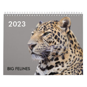Verschiedener großer katzenähnlicher Kalender