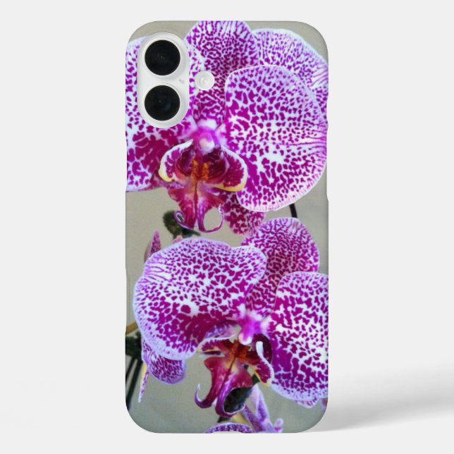Verschiedenes Lila Orchid-Nah-Up-Foto Case-Mate iPhone Hülle (Rückseite)