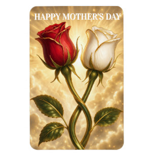 Verschlungene rote und weiße Rosen. Magnet