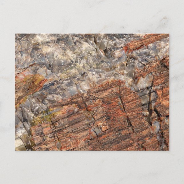 Verschlüsseltes Protokoll geschlossen I Postkarte (Vorderseite)