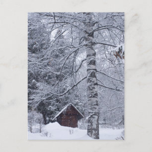 verschneite Landschaft Postkarte
