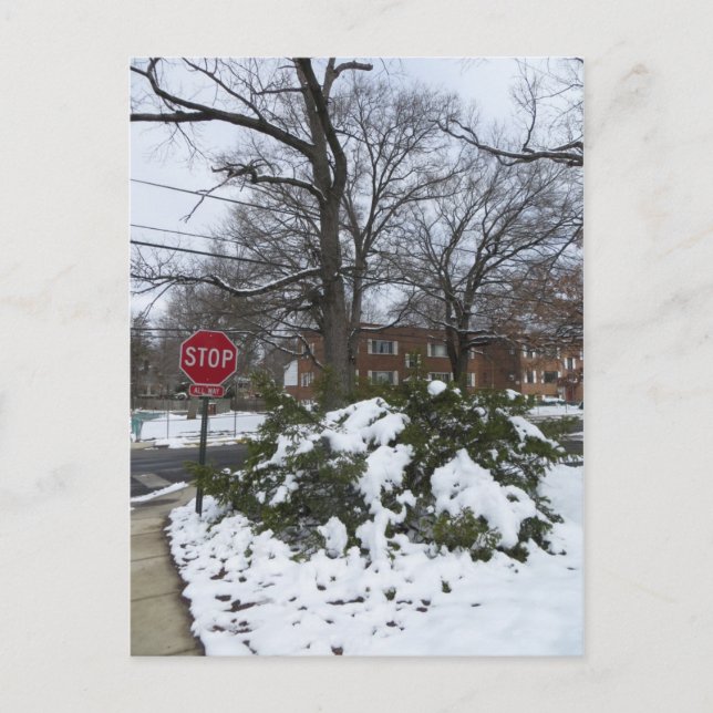 Verschneite Straße Postkarte (Vorderseite)
