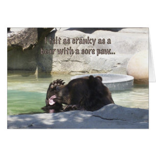 Verschrob als Bär mit einer wunden Tatze