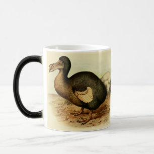 Verschwindene Dodo-Tasse Verwandlungstasse