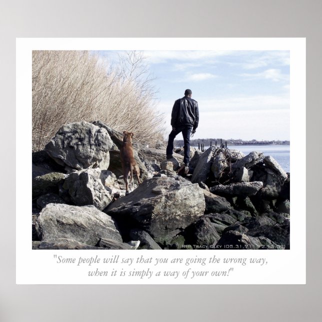 verschwunden, aber nie vergessen poster (Vorne)