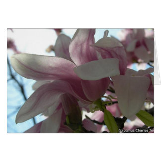 Versenden meiner Liebe mit Blüten