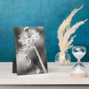 Versenden von Wünschen Fotoplatte