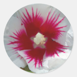 Versiegelt mit einer STERNEXPLOSION KISS! Aufklebe Runder Aufkleber