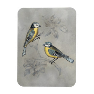 Versilberte Vogel-Paare des Aviary-  Magnet