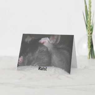 Verspätete Geburtstags-Karte Karte