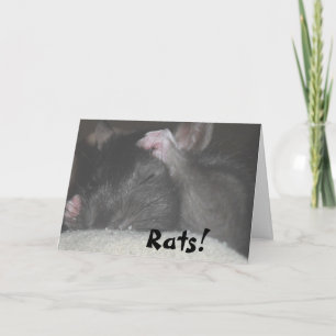 Verspätete Geburtstags-Karte Karte