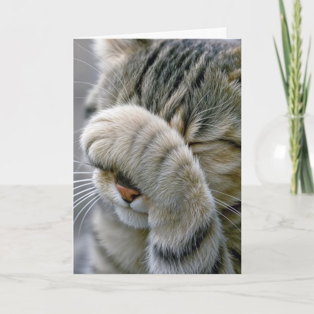 Verspätetes Geburtstagsgrau getigertes Katzenbild Karte (Vorderseite)