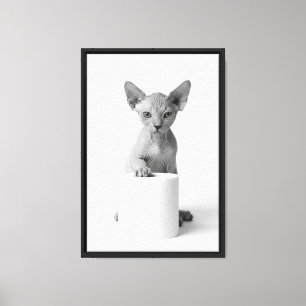 Verspielte Sphynx-Katze bewacht Toilettenpapier El Leinwanddruck