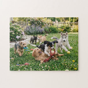Verspielte süße Welpen spielen im Hof Puzzle