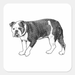 Verspielter Bulldog Dot, Cartoon-Aufkleber Quadratischer Aufkleber