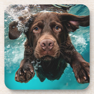 Verspielter Chocolate-Labrador schwimmt unter Wass Getränkeuntersetzer