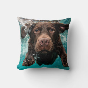 Verspielter Chocolate-Labrador schwimmt unter Wass Kissen