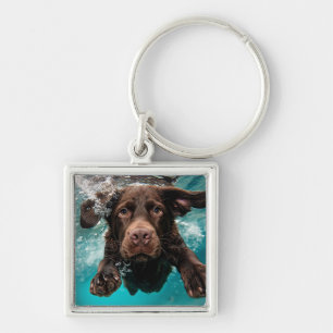Verspielter Chocolate-Labrador schwimmt unter Wass Schlüsselanhänger