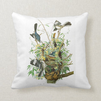 Verspottende Vogel-John James Audubon-Vögel von Kissen