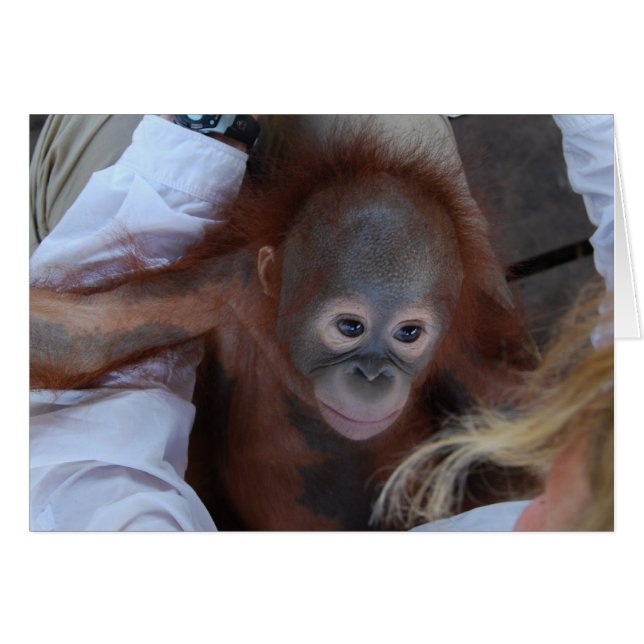 Versprechen an Wildtiere (Vorderseite (Horizontal))