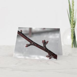 Versprechen des Frühlings Karte