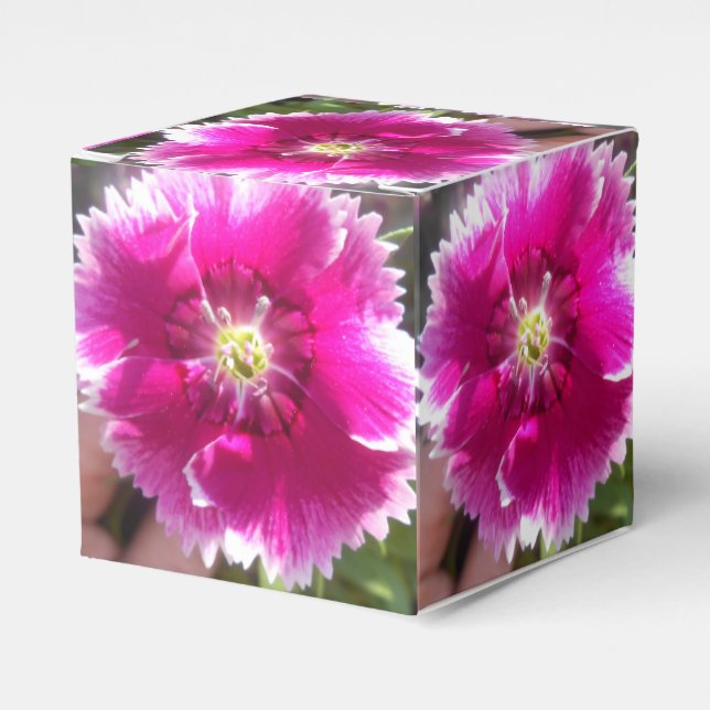 Versprechen Geschenkschachtel (Vorderseite)