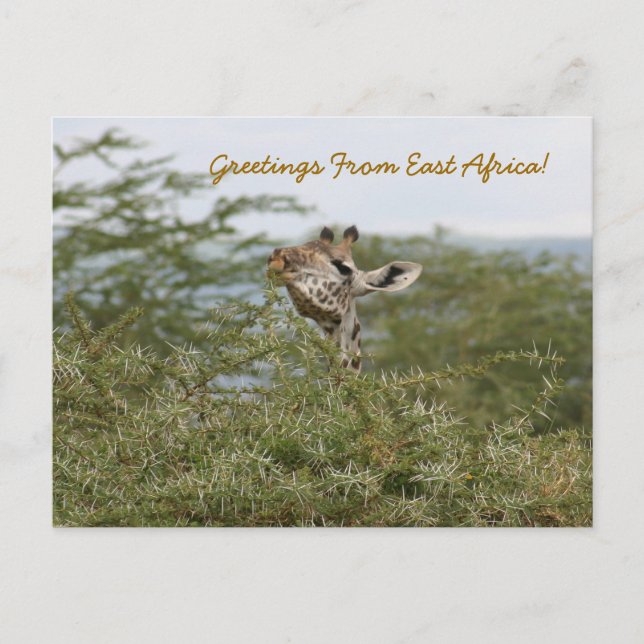 Verstanden! -Postkarte Postkarte (Vorderseite)