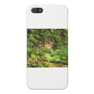 Versteck Hülle Fürs iPhone 5