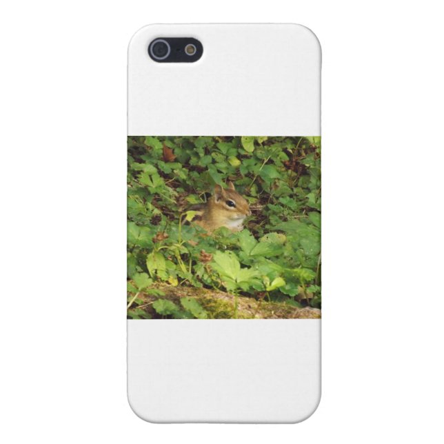 Versteck iPhone Hülle (Hinten)