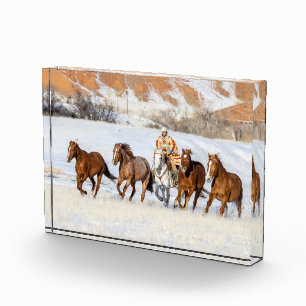 Versteck Pferderanch, Cowboy und Pferde Fotoblock