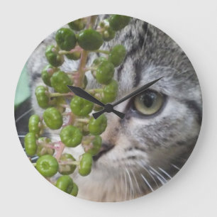 Verstecken der Kitten Wall Clock Große Wanduhr